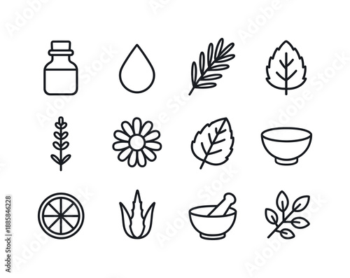 Herbal Oils Icons. Herbal oils. Line icon set of Herbal oils: bottle, droplet, rosemary sprig, lavender, chamomile flower, mint leaf, lemon slice, aloe, bowl,