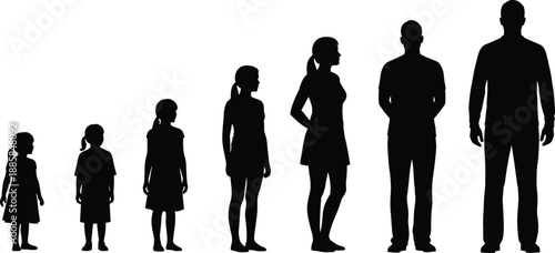 Human growth stages silhouettes illustration, child to adult progression, male and female height comparison, black shadow figures isolated