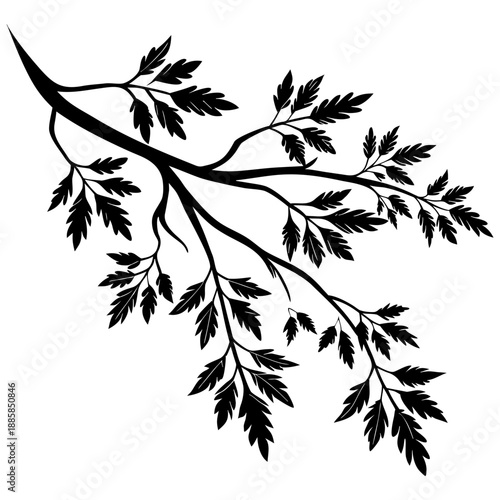 Elegant branch with leaves