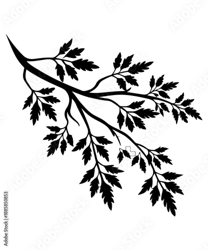 Branch with leaves silhouette