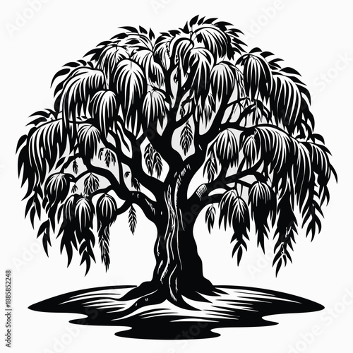 Elegant weeping willow silhouette with long flowing branches evokes feelings of calmness and serenity