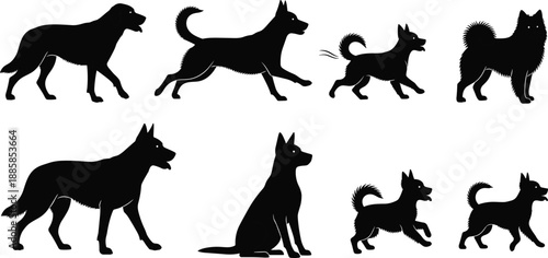 Set of dog silhouettes in different poses, walking running sitting canine collection, black and white vector illustration isolated