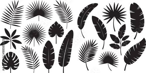 Set of Tropical leaves. Collection black leaves palm, fan palm, banana leaves. silhouette vector illustration with white background.