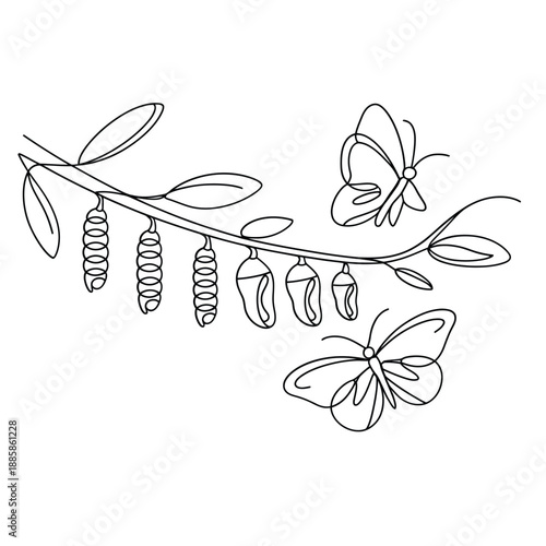 Life cycle of a butterfly eggs chrysalis and adult forms displayed