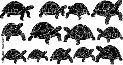 Detailed Black Silhouette Illustrations Of Tortoises turtle reptile