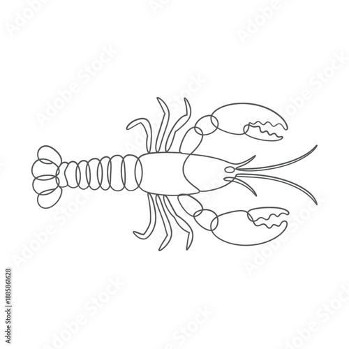 Linear depiction of a lobster showcasing its segmented body and claws