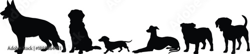 Silhouette vector illustration of multiple dog breeds in various poses for pet design, veterinary themes, grooming branding, animal training, and domestic animal concepts.