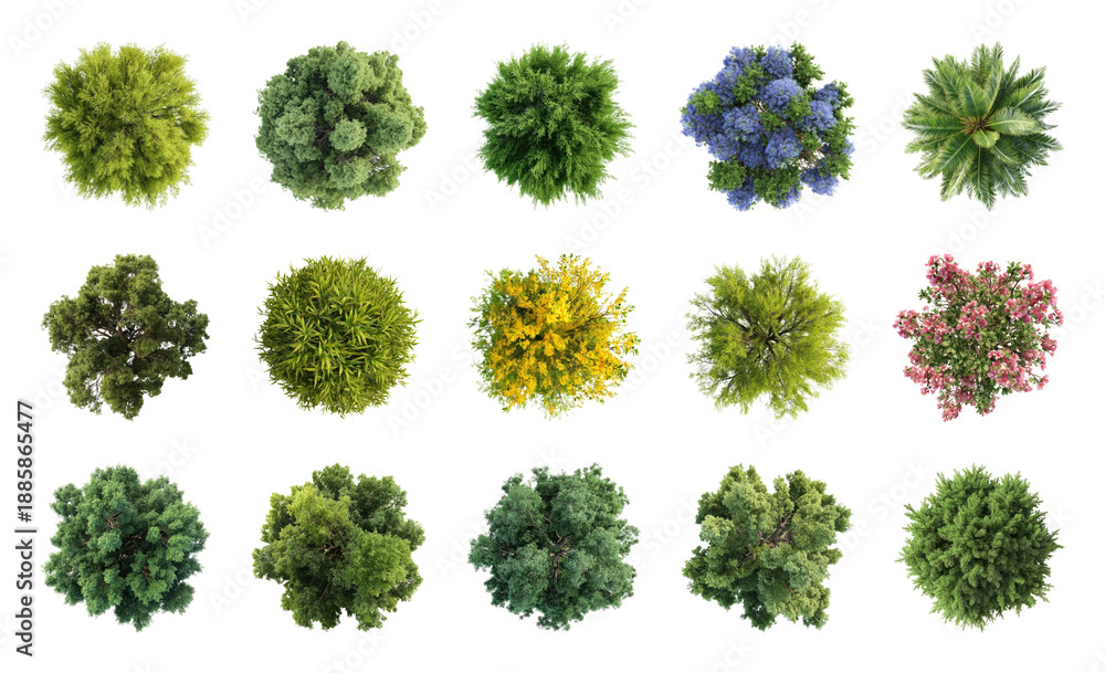Obraz premium PNG Top view assorted green foliage on transparent background