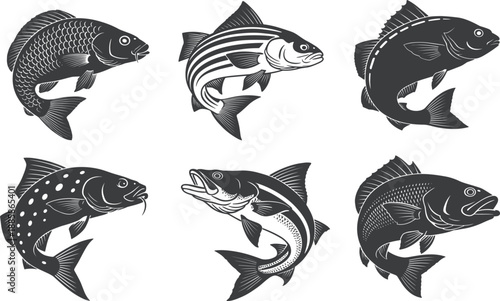 Vintage engraved hand drawn fish vector set, sea food restaurant menu, aquatic river animal illustration