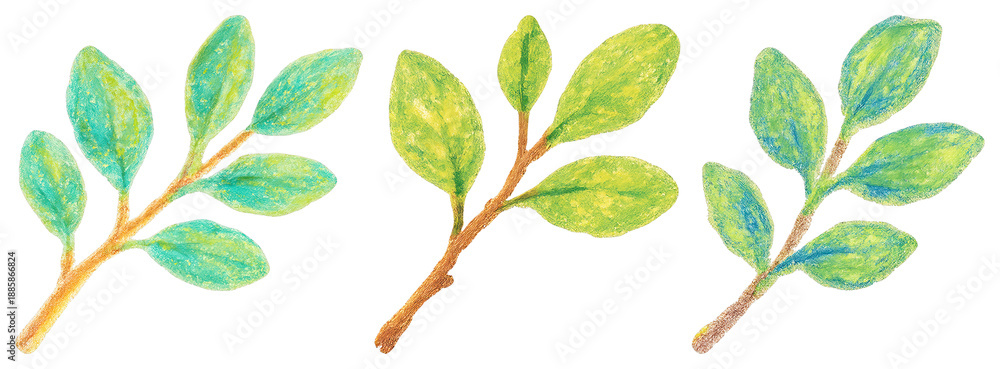 Fototapeta premium PNG Colorful watercolor botanical illustration on transparent background