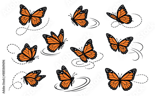 Graphic monarch butterfly set featuring orange and black flying insects with dotted flight trails for nature and design projects