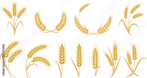 Golden Wheat Collection: A series of vibrant illustrations showcases the beauty of golden wheat in various stylized forms, celebrating the essence of nature's bounty.