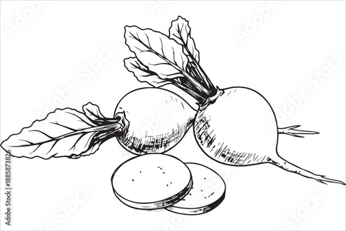 Hand drawn vector illustration of radish ripe plums and floral nature elements pattern design