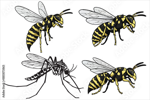 Bees on flowers close-up in garden nature vector illustration