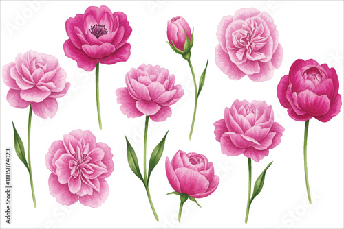 Wallpaper Mural Beautiful spring floral seamless pattern featuring pink tulips and green leaves isolated on a white background for a nature inspired vector gift Torontodigital.ca