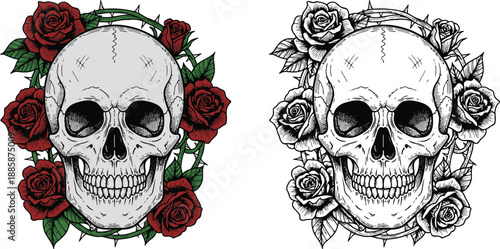 Vintage Gothic Illustration of Human Skull with Red Roses and Thorns