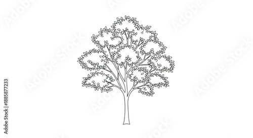 A stylized line drawing depicts a leafy deciduous tree against a white background.