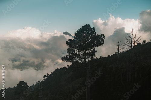 Pine Ridge Facing Volcán de Agua