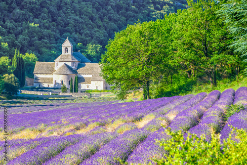 Foto The medieval Abbey of Senanque surrounded by lavender fields