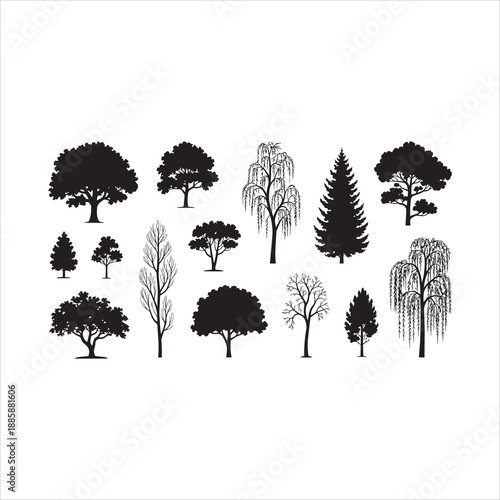 Set of tree silhouettes, vector illustration of different forest and garden trees