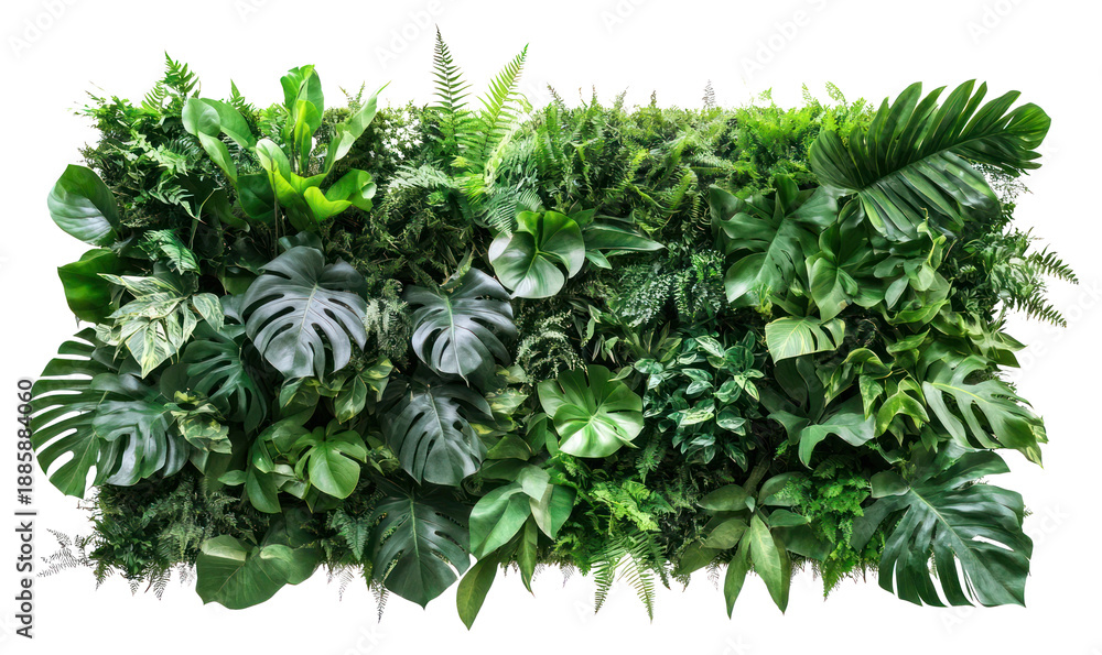 Naklejka premium PNG Lush vertical garden foliage
