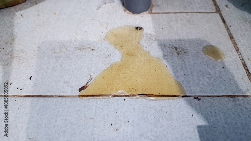 Puddle of yellow liquid oil or urine on tile floor close up top view hygiene and sanitation concept dirty stain with small insect fly accident mess background for pest control or cleaning service