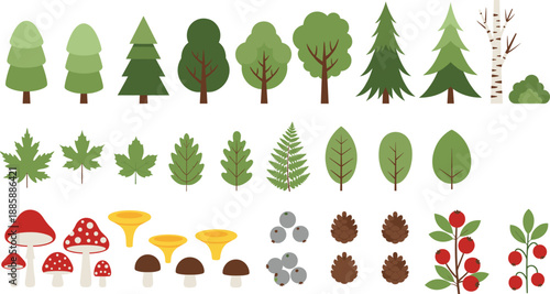 Forest Nature Elements Collection Illustration Showing Trees Leaves Mushrooms Berries And Pine Cones Botanical Vector Set