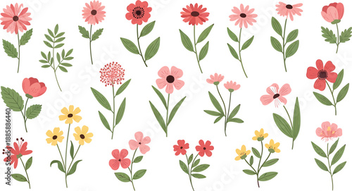 A beautiful collection of hand-drawn pink and red spring flowers on a white background, perfect for decoration.