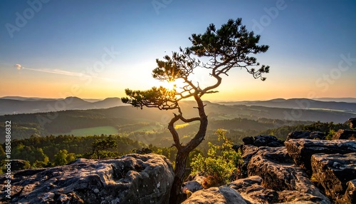 Lone Tree Silhouette Against a Vibrant Sunset Landscape.