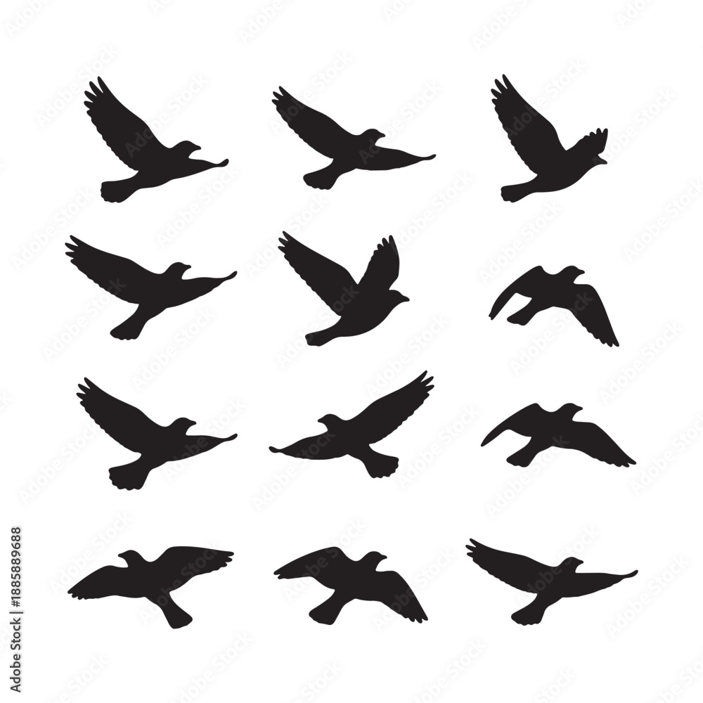 Obraz premium Black Bird Silhouettes in Flight Sequence