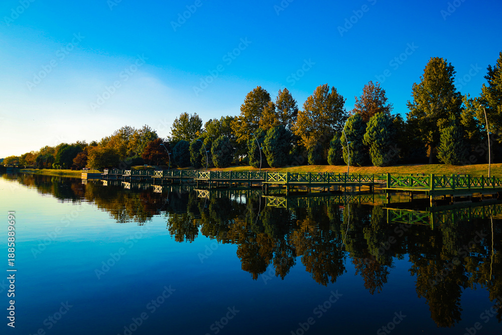 Fototapeta premium autumn in the park