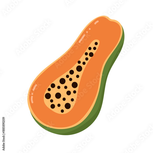Fresh ripe papaya fruit. Summer food, healthy snack. Vector isolated on white.