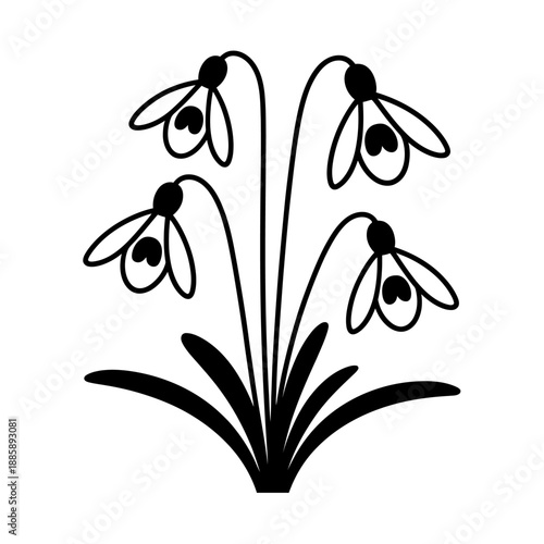 Simple line drawing of snowdrops on a transparent background