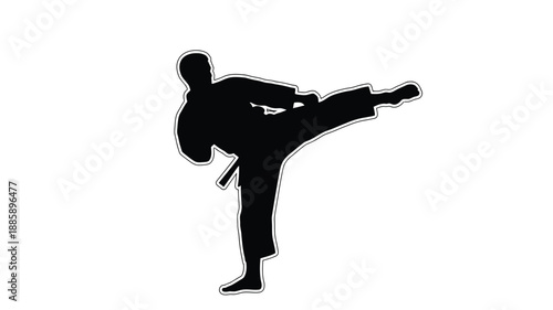 Dynamic martial artist executing a high kick pose black silhouette