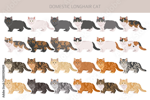 Domestic longhair Cat clipart. All coat colors set. Vector illustration