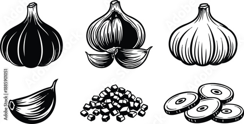 Line art close up three whole garlic bulbs peeled clove diced cubes and round slices arranged on white background bold engraving look minimalist kitchen illustration detailed
