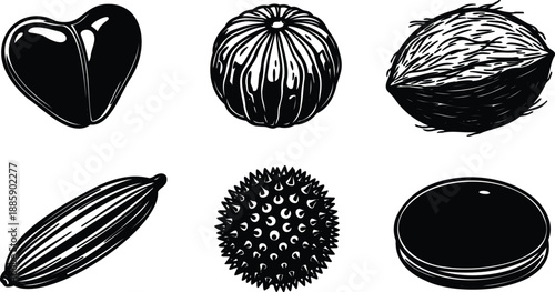 Engraving style black and white botanical seed icons close up six distinct seeds and nuts top view high contrast line art vector detailed studio lighting textures