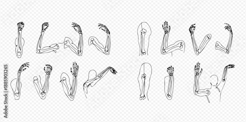 Human arm bones and muscles anatomical structure vector illustration set for medical and educational purposes.