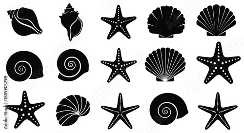 Black silhouettes of seashells and starfish on a white background