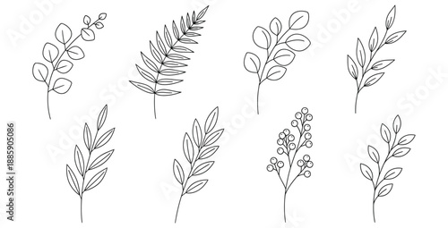 Collection of eight delicate botanical line art illustrations featuring diverse foliage designs perfect for elegant natural decor and branding projects