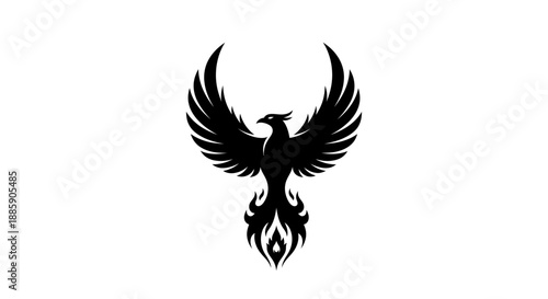 Black phoenix vector illustration on white