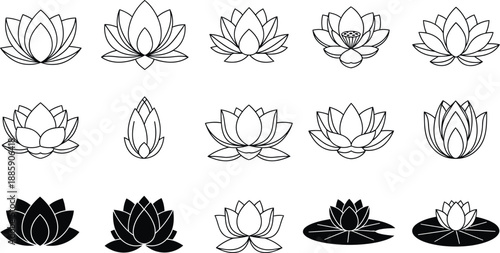 Collection of black and white lotus flower illustrations