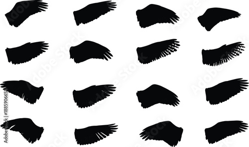 Bird wing silhouettes, flying feathers, avian anatomy, wildlife symbols, flight motion, nature elements, vector wings, black line icons set