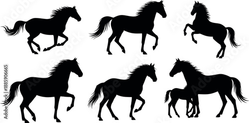 Silhouettes of horses in various poses