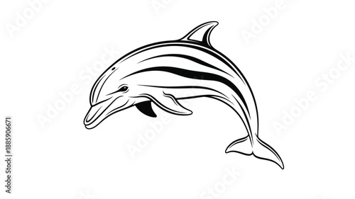 a stylized black and white dolphin illustration gracefully leaping from the water silhouette