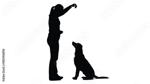 a woman and dog interacting playful moment captured silhouette