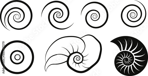 Nautilus shell illustrations with spiral patterns