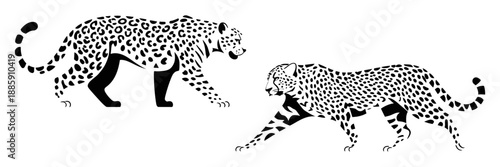 Leopards in dynamic pose with bold black silhouettes