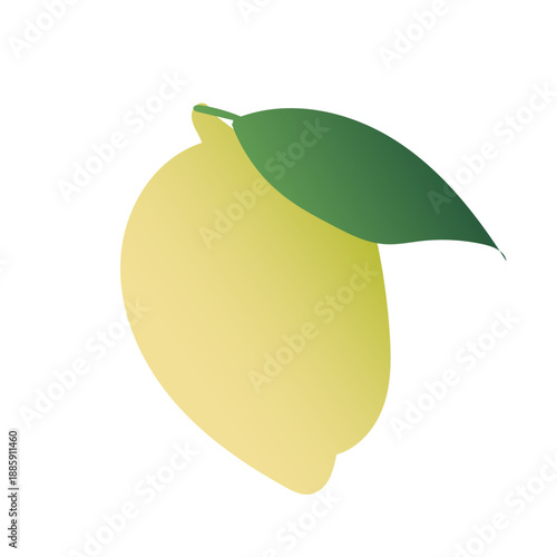 Lemon Illustration - Scalable Vector, Adobe Illustrator File