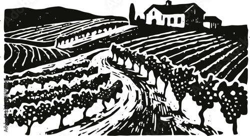 Scenic vineyard landscape with rolling hills, grapevines, and farmhouse in countryside